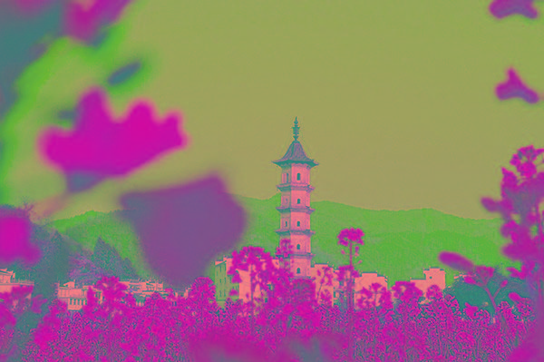 002.jpg