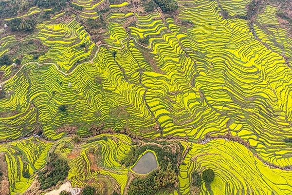 大地指纹