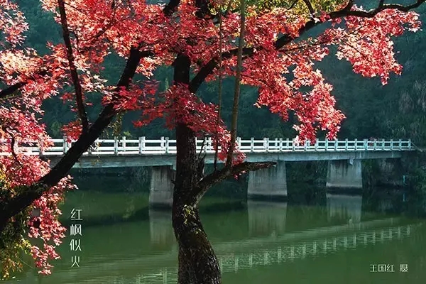 QQ图片20190621093456.jpg