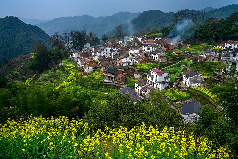 春到山间